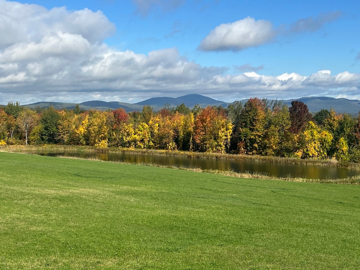 A Week in New Hampshire