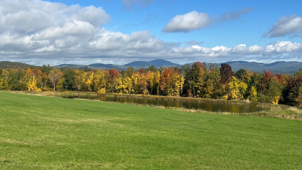 A Week in New Hampshire