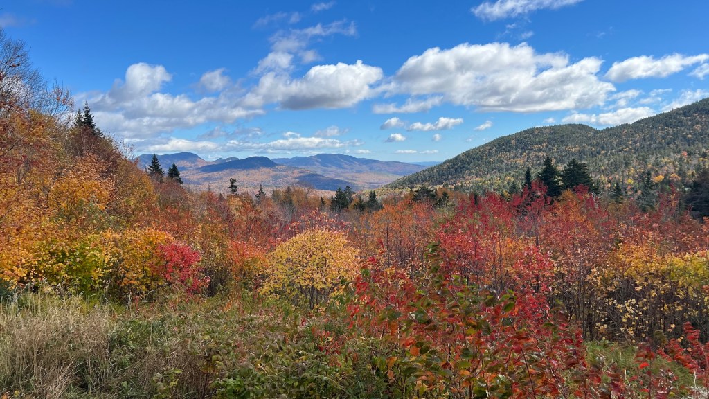 A scenic view of vibrant autumn foliage with red, orange, and yellow leaves in the foreground, set against a backdrop of distant mountains and a blue sky with fluffy white clouds.